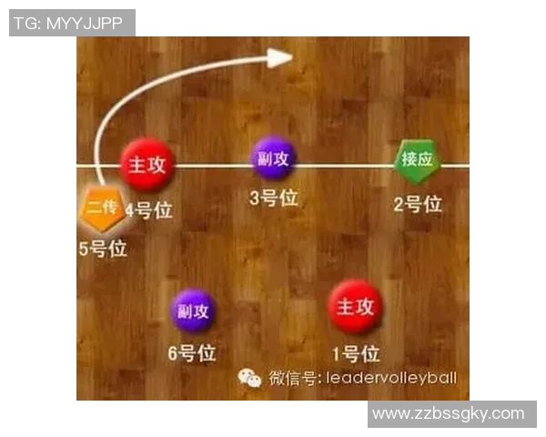 西安排球队进攻革新全解析战术变革与球员适应性研究
